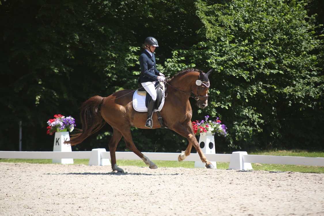 Turnier_16 Turnier_16